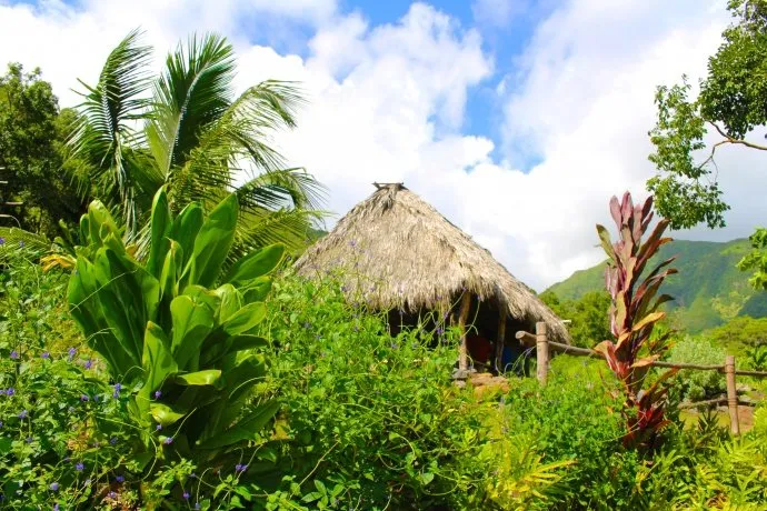 Professional lawn care service in Keaau, HI - Kaholo Crown Land Conservation