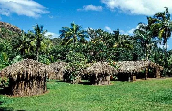 Affordable landscape design experts serving Keaau, HI - Kaholo Crown Land Conservation