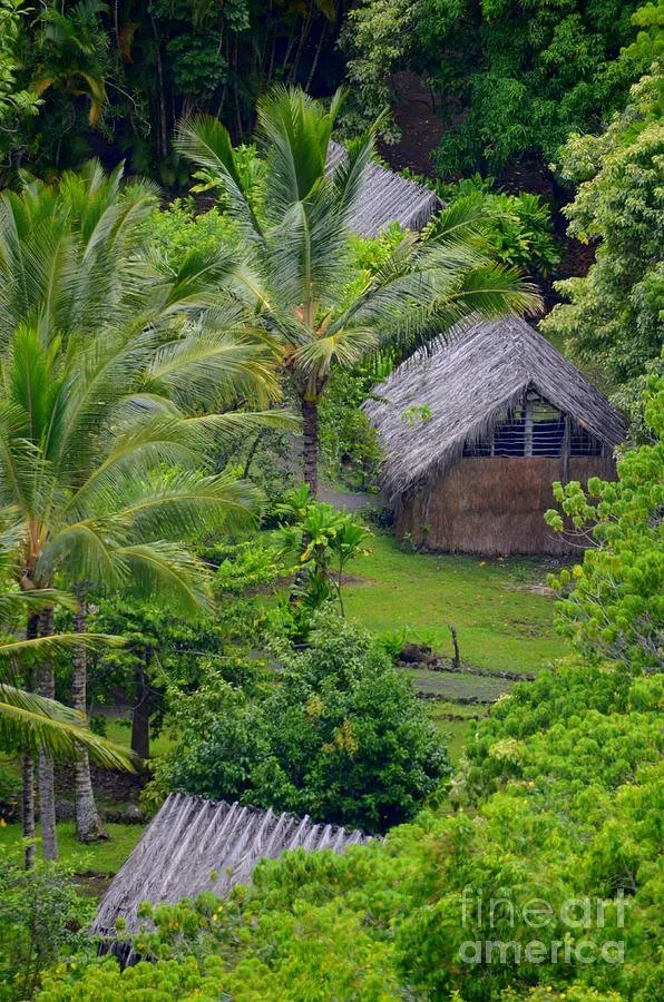 Trusted outdoor landscaping in Keaau, HI by Kaholo Crown Land Conservation