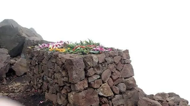 Top-rated yard cleanup service for homes in Keaau, HI by Kaholo Crown Land Conservation