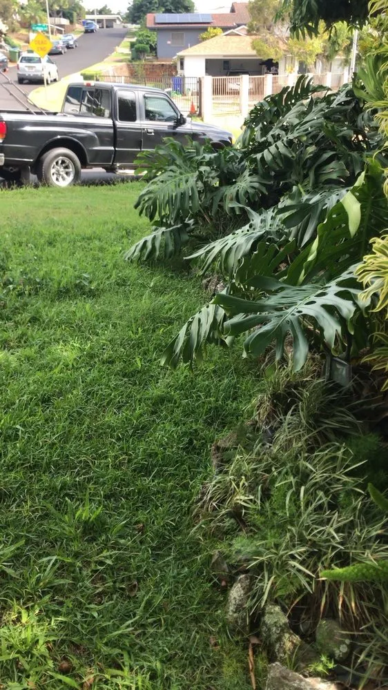 Affordable landscape installation near you in Honolulu, HI by Kahua's Lawn Services