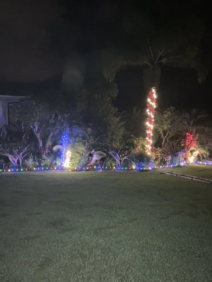 Top-rated residential landscaping for outdoor upgrades in Honolulu, HI by Kai Pro Services