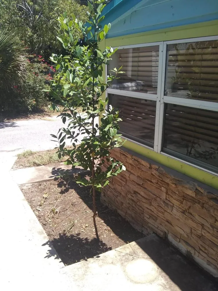 Professional residential landscaping in Pickens, SC - Kaidens Landscapes