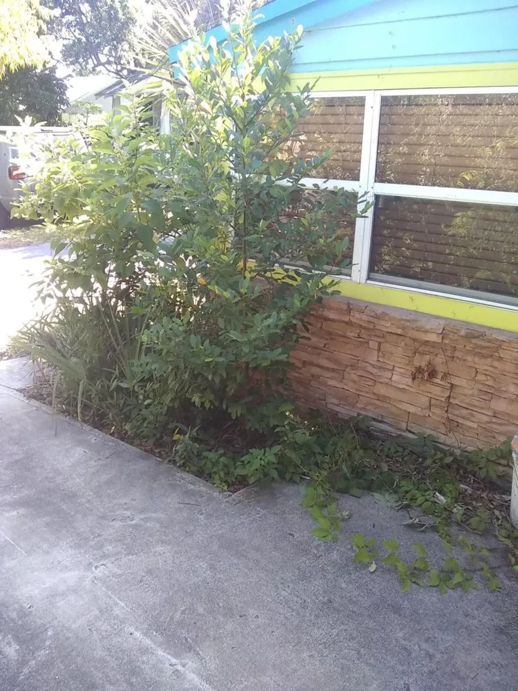 Local yard maintenance with custom design in Pickens, SC by Kaidens Landscapes