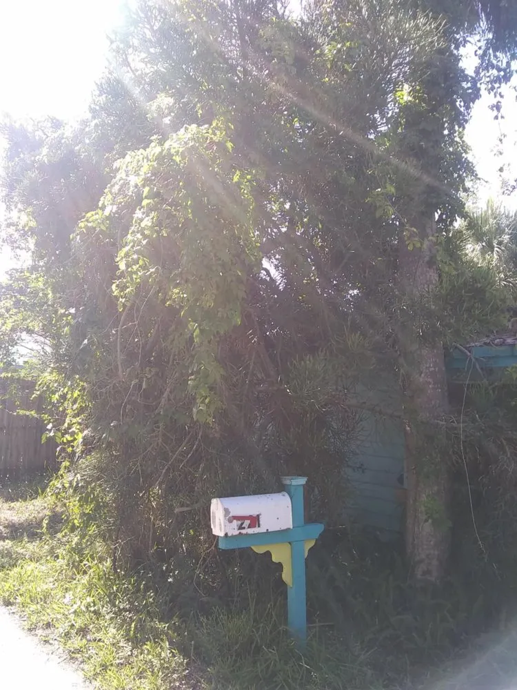 Reliable landscaping services for homes across Pickens, SC - Kaidens Landscapes