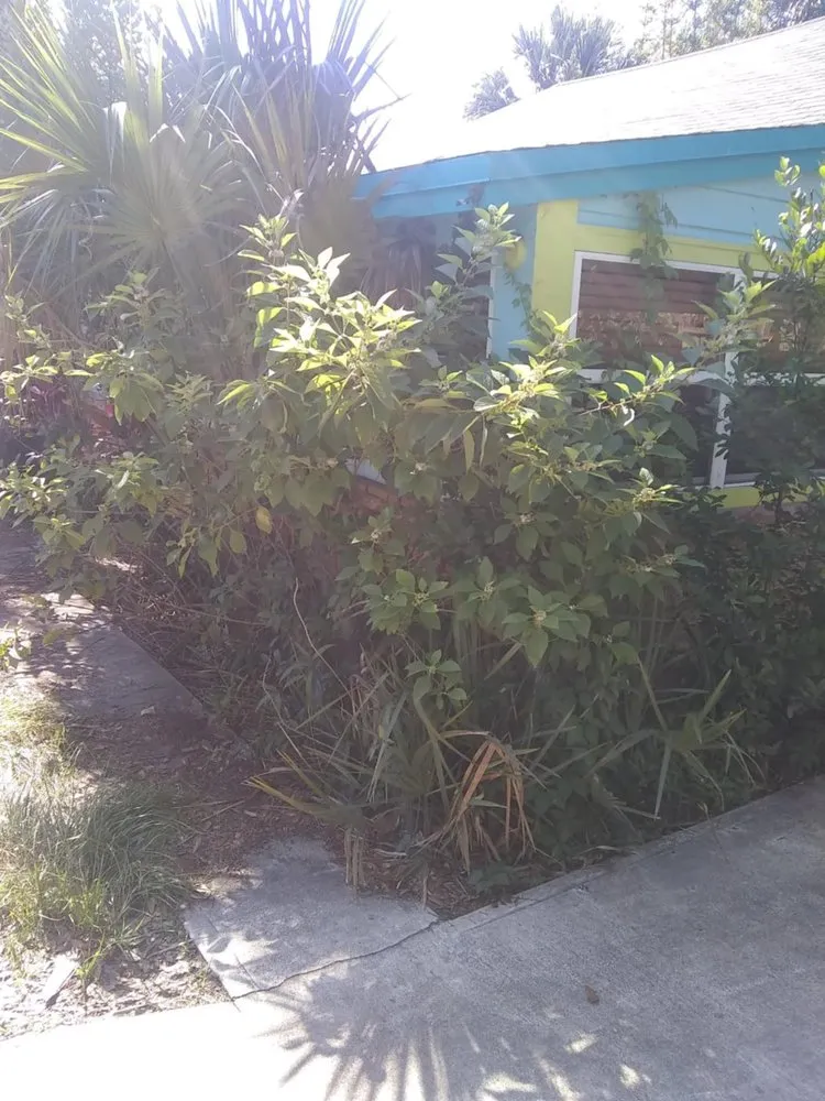 Expert landscape design in Pickens, SC by Kaidens Landscapes