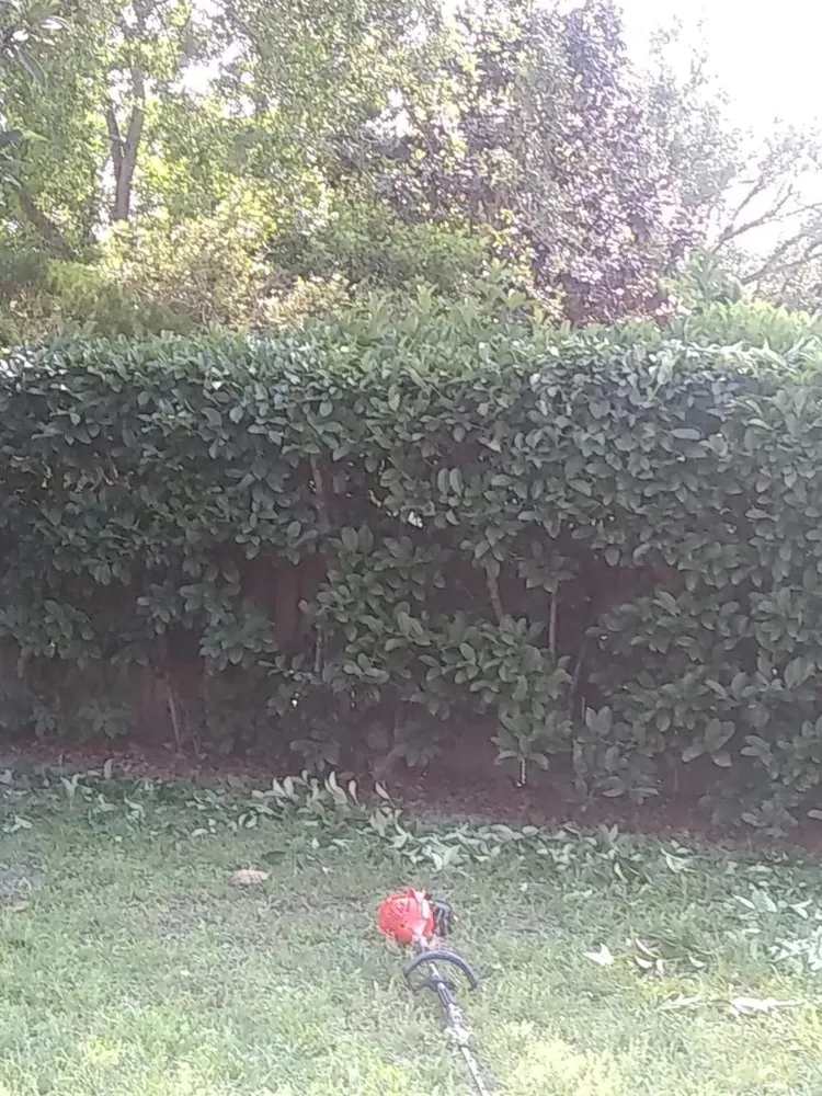 Expert residential landscaping in Pickens, SC by Kaidens Landscapes