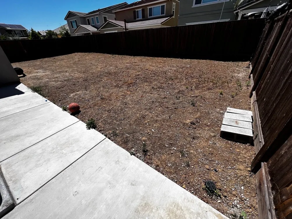 Expert lawn care service in Brentwood, CA - Kaide's Landscaping Development