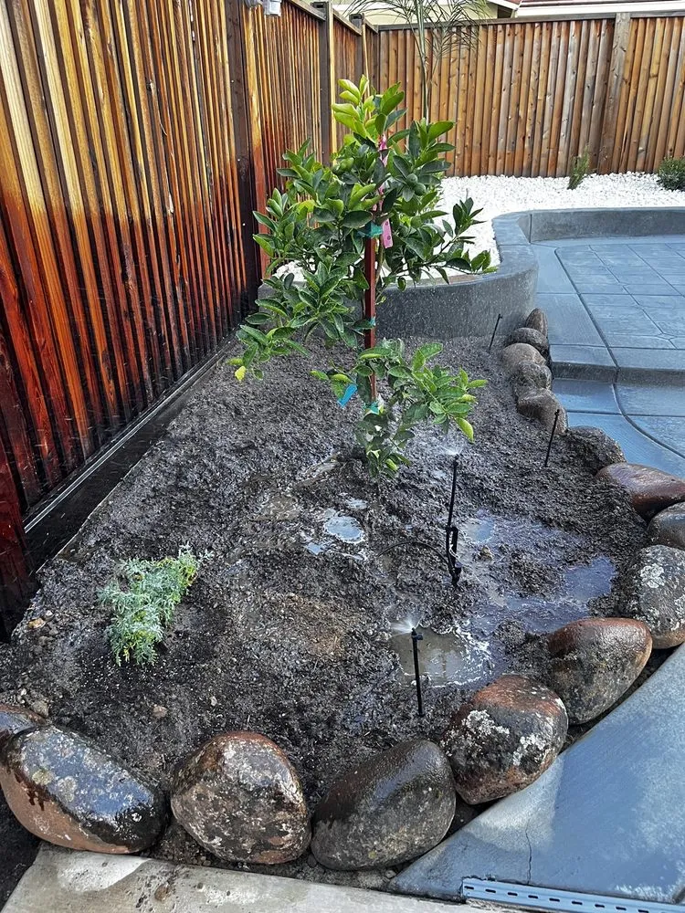 Professional garden landscaping in Brentwood, CA by Kaide's Landscaping Development