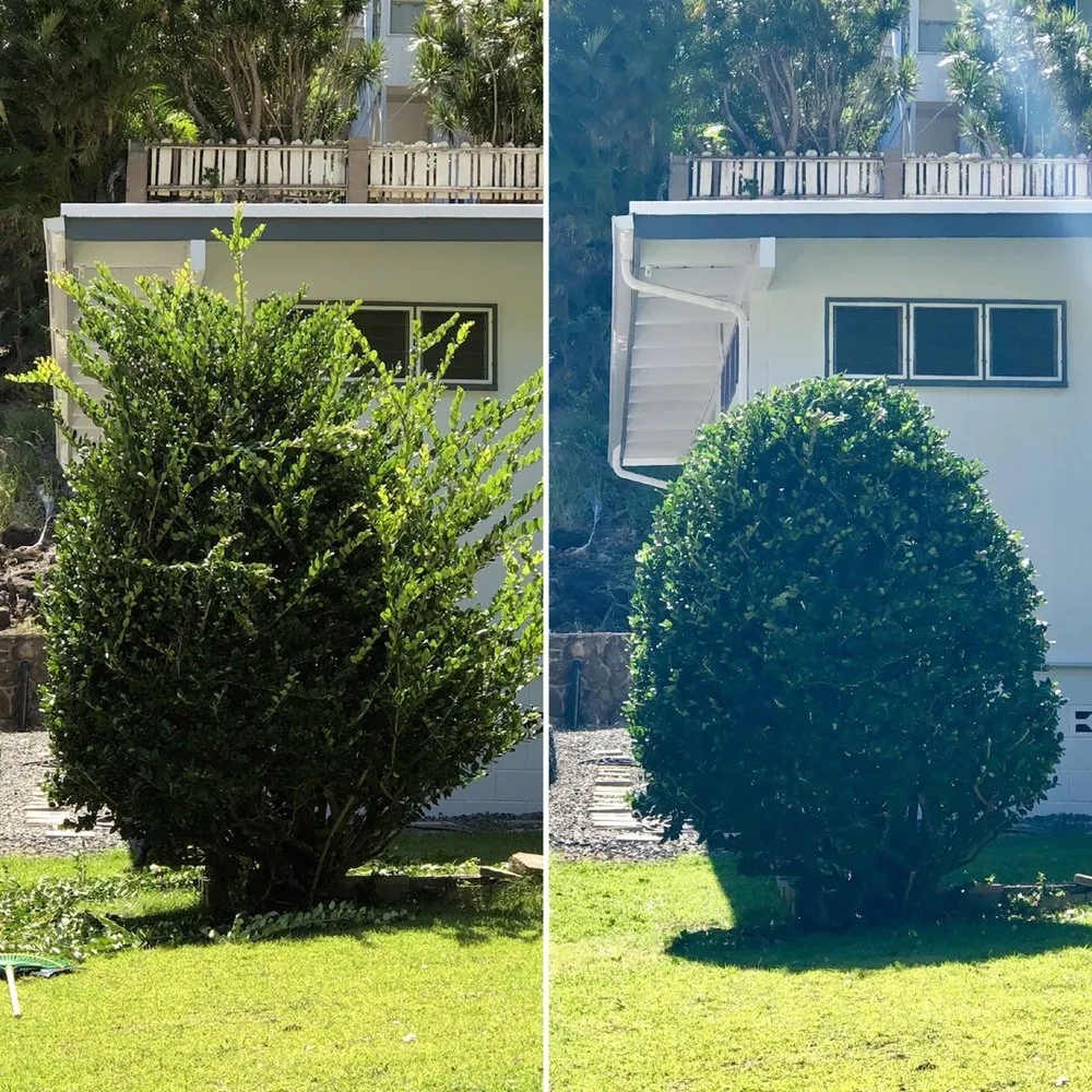 Expert lawn mowing service with custom design across Honolulu, HI - Kaimana Kuts