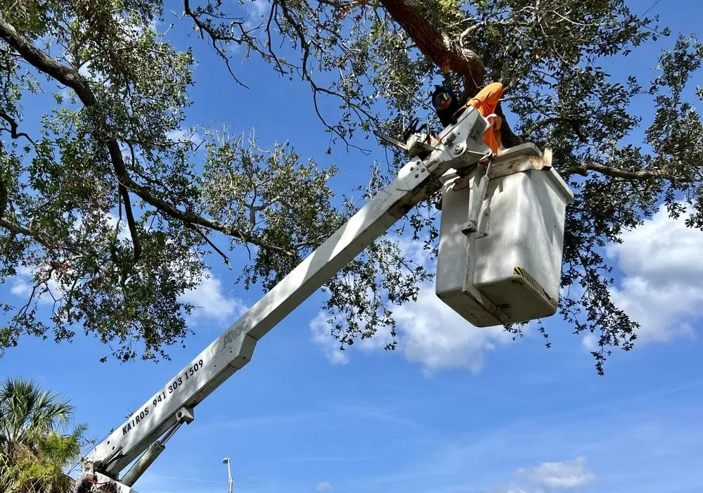 Professional yard cleanup service in Sarasota, FL - Kairos Landscaping & Maintenance