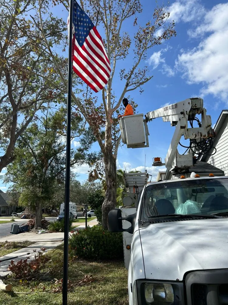 Top-rated landscape installation experts serving Sarasota, FL - Kairos Landscaping & Maintenance