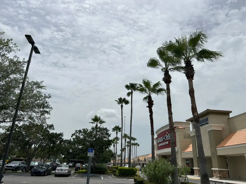 Expert lawn mowing service for outdoor upgrades in Sarasota, FL by Kairos Landscaping & Maintenance