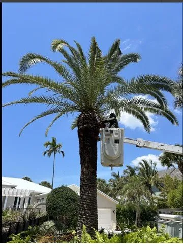 Trusted landscape installation in Sarasota, FL by Kairos Landscaping & Maintenance