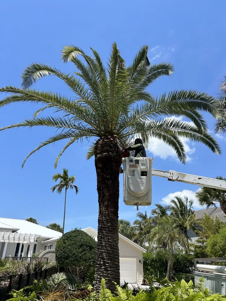 Reliable yard cleanup service experts serving Sarasota, FL - Kairos Landscaping & Maintenance