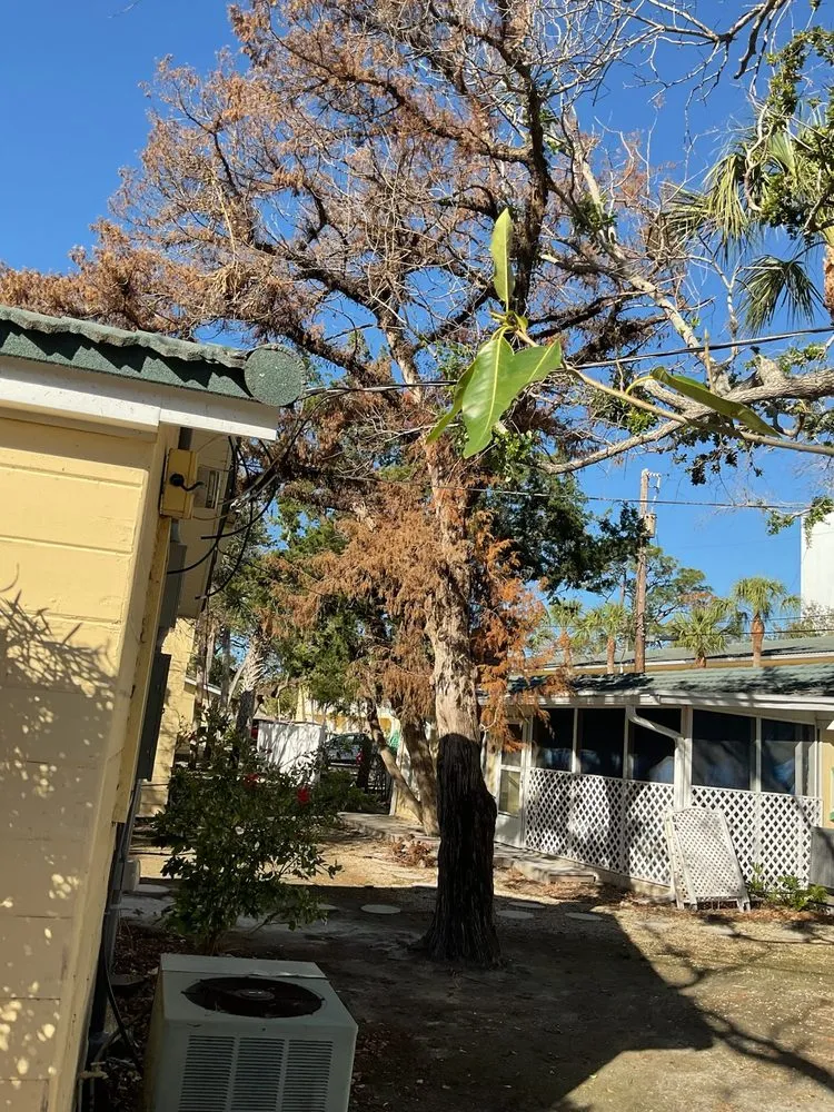 Trusted landscape design experts serving Sarasota, FL - Kairos Landscaping & Maintenance