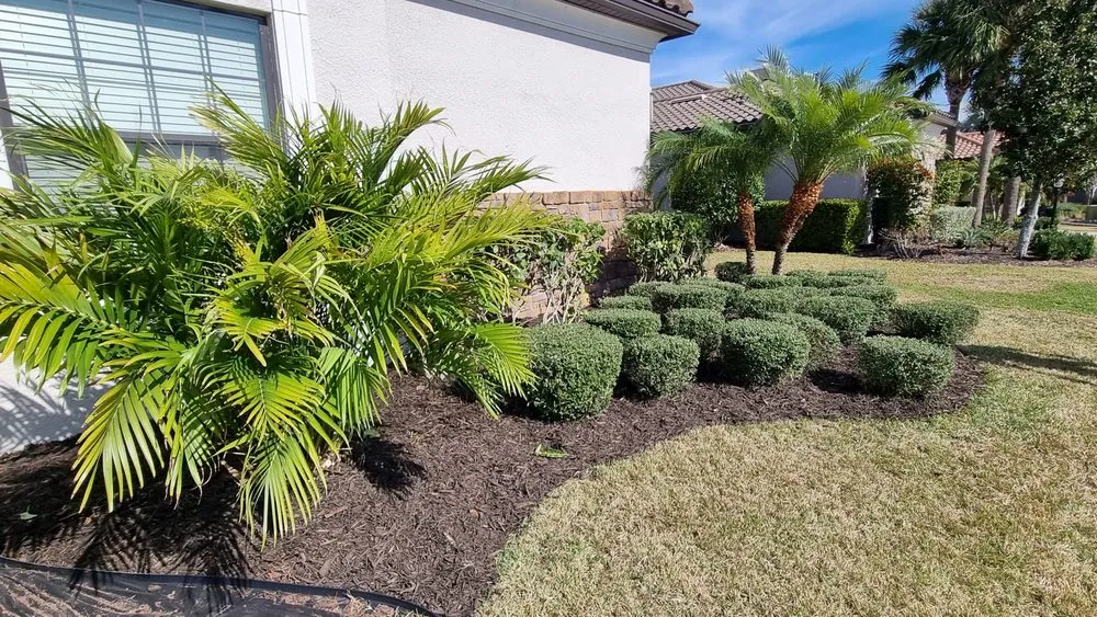 Trusted residential landscaping for beautiful yards in Sarasota, FL by Kairos Landscaping & Maintenance