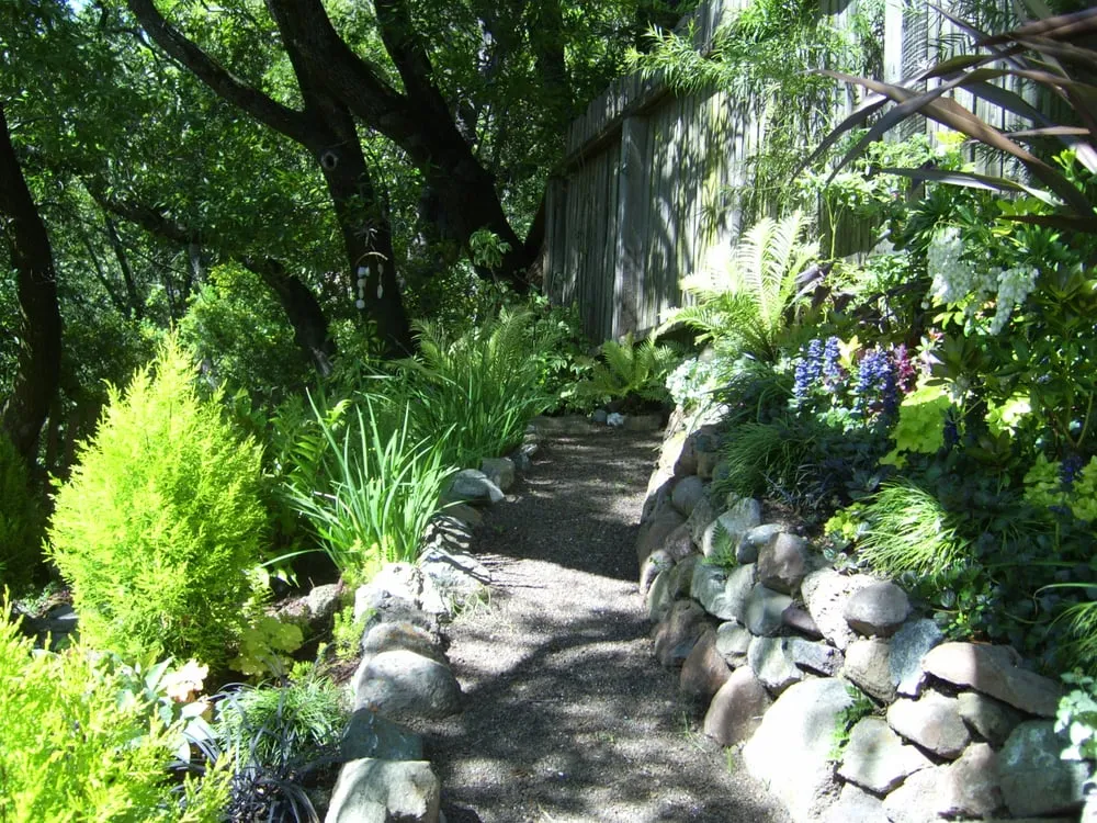 Top-rated yard maintenance for outdoor upgrades across San Anselmo, CA - Kaiser Gardens