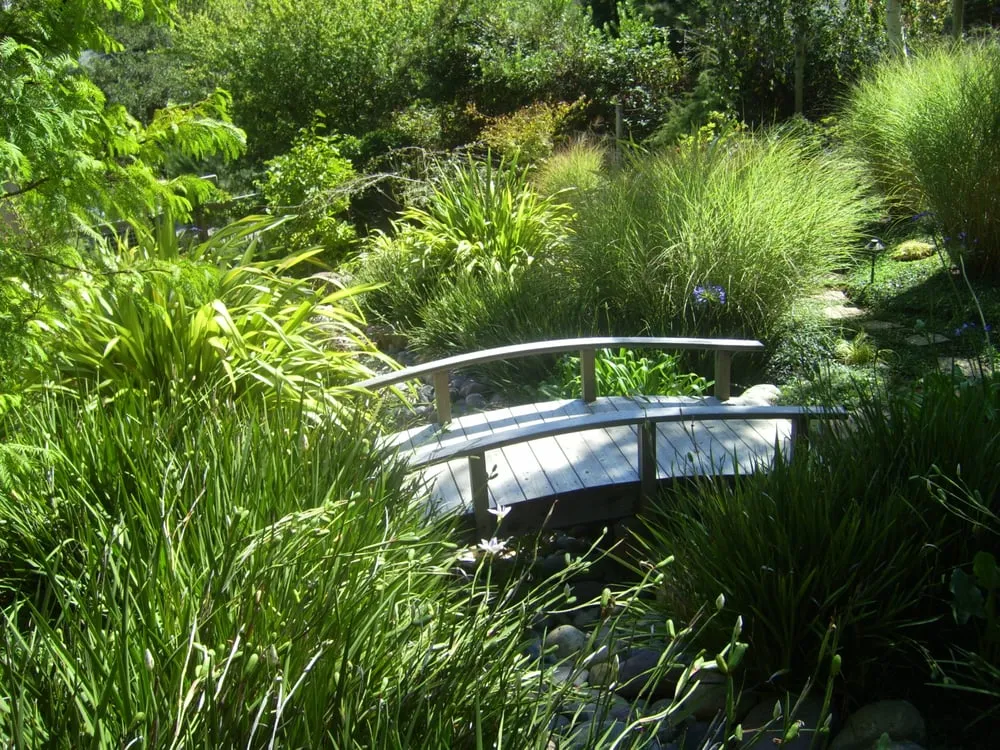 Professional landscaping services in San Anselmo, CA by Kaiser Gardens