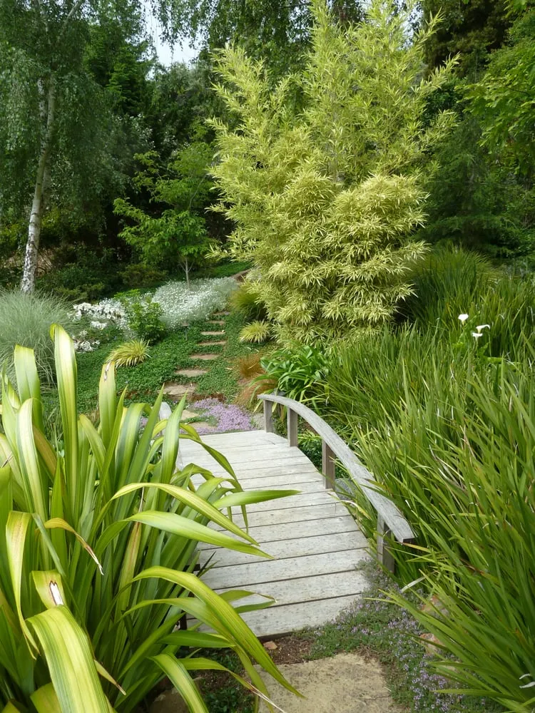 Custom garden landscaping for outdoor upgrades in San Anselmo, CA by Kaiser Gardens