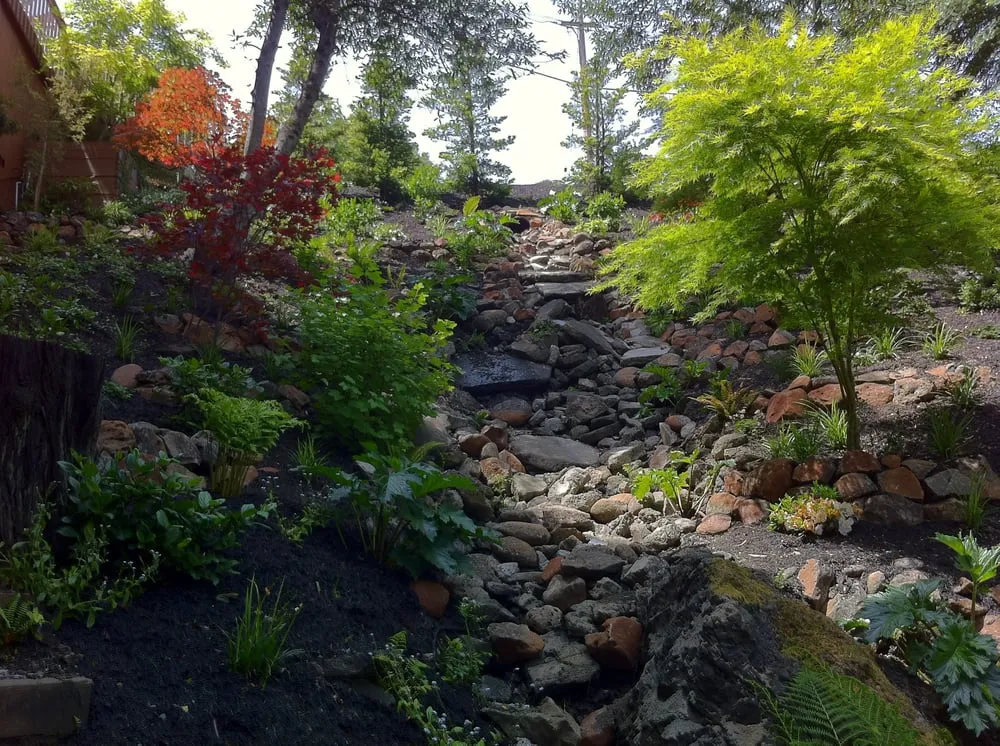 Reliable landscaping services for residential properties across San Anselmo, CA - Kaiser Gardens