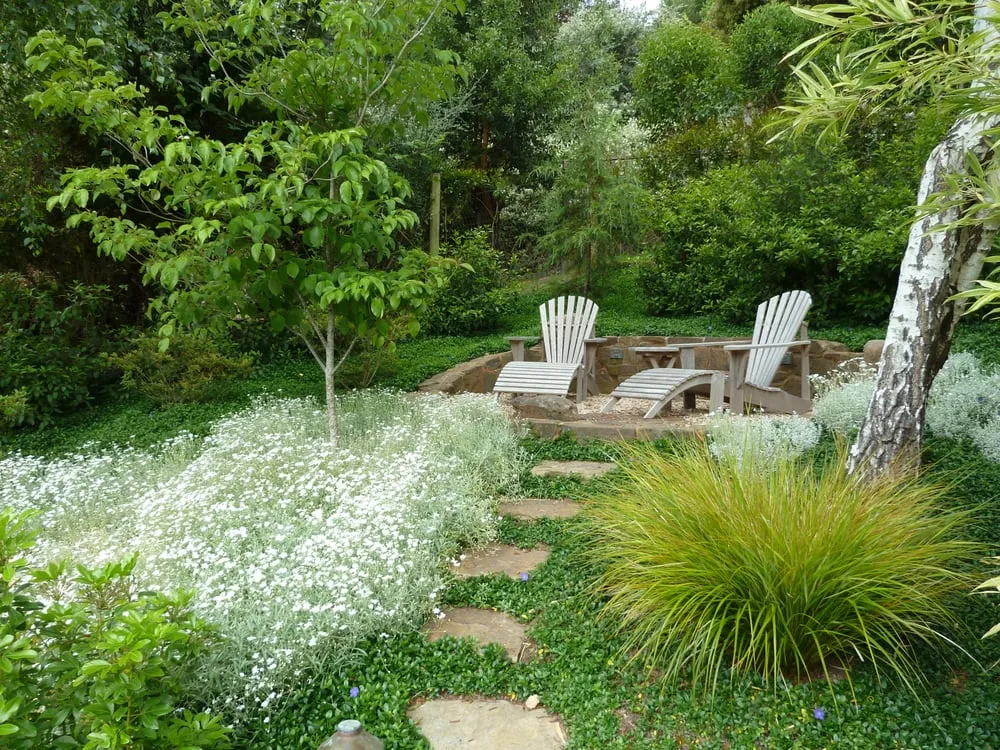 Professional yard cleanup service in San Anselmo, CA by Kaiser Gardens