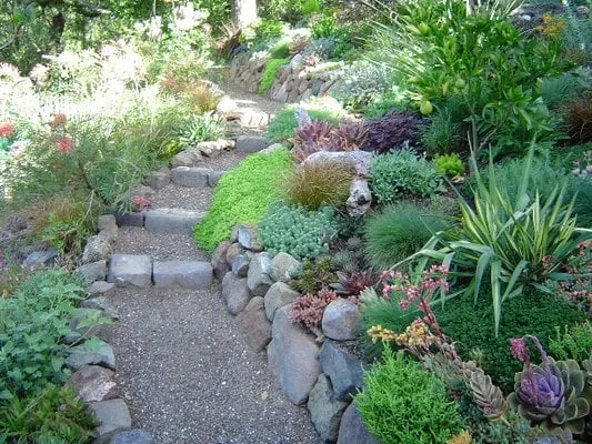 Expert outdoor landscaping in San Anselmo, CA - Kaiser Gardens