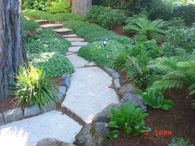 Affordable landscape design for beautiful yards across San Anselmo, CA - Kaiser Gardens