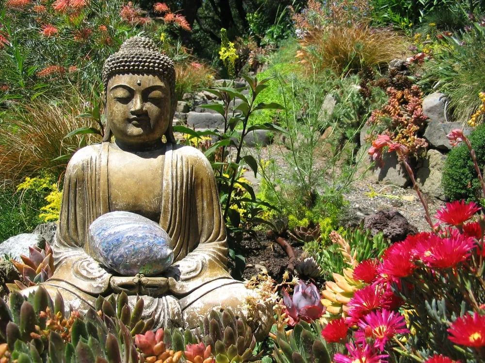 Custom lawn care service in San Anselmo, CA by Kaiser Gardens