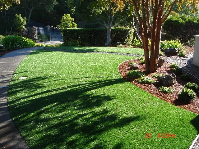 Affordable landscaping services near you in San Anselmo, CA by Kaiser Gardens