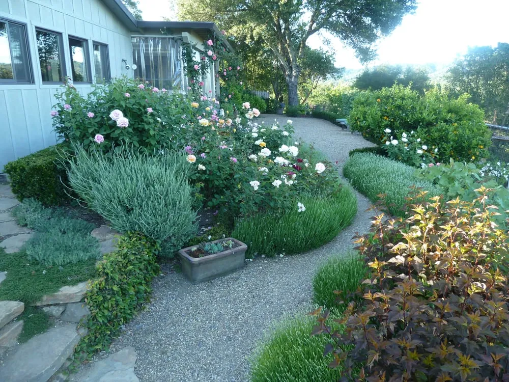 Affordable landscape installation in San Anselmo, CA - Kaiser Gardens