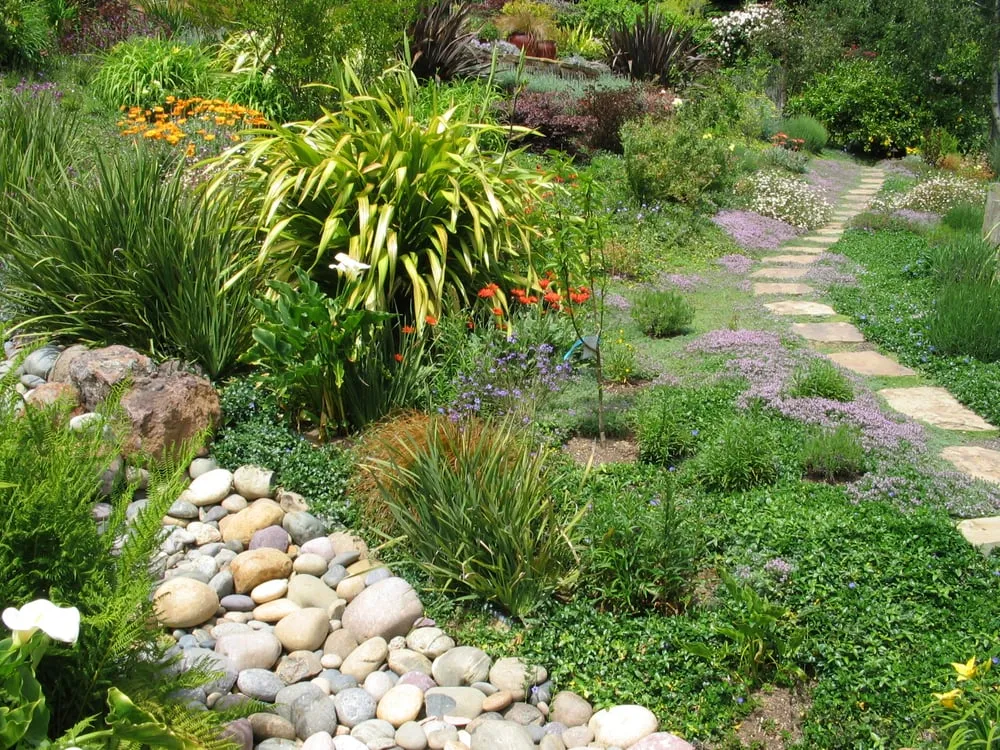 Trusted yard cleanup service for beautiful yards across San Anselmo, CA - Kaiser Gardens