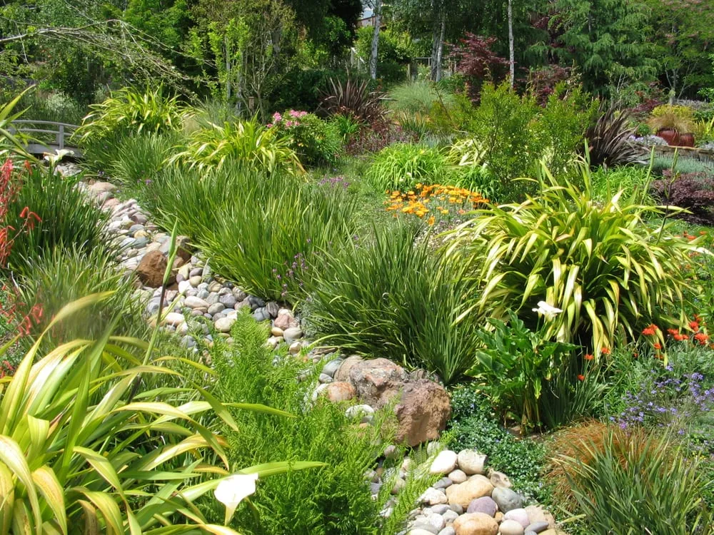 Local landscape installation for homes in San Anselmo, CA by Kaiser Gardens