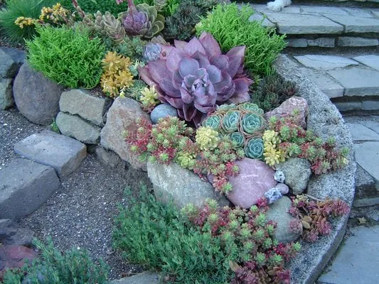 Professional garden landscaping in San Anselmo, CA by Kaiser Gardens
