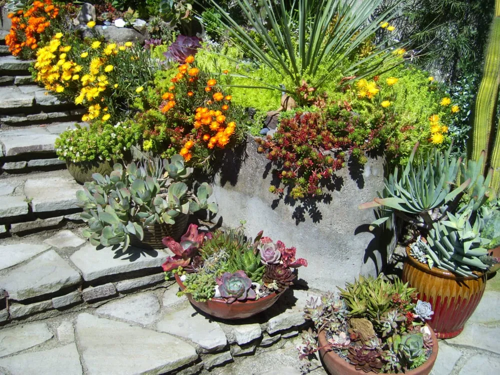 Reliable lawn care service in San Anselmo, CA - Kaiser Gardens