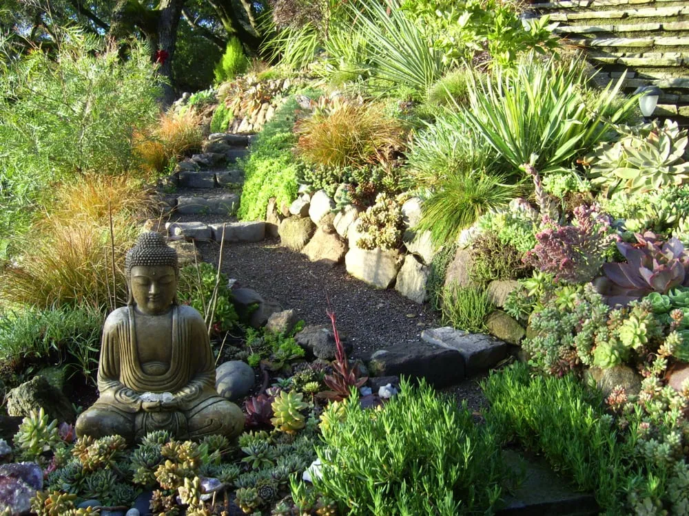 Reliable residential landscaping with custom design in San Anselmo, CA by Kaiser Gardens