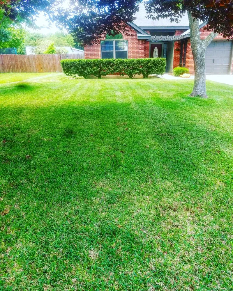 Local landscape design in New Braunfels, TX by Kaiser Lawn Care