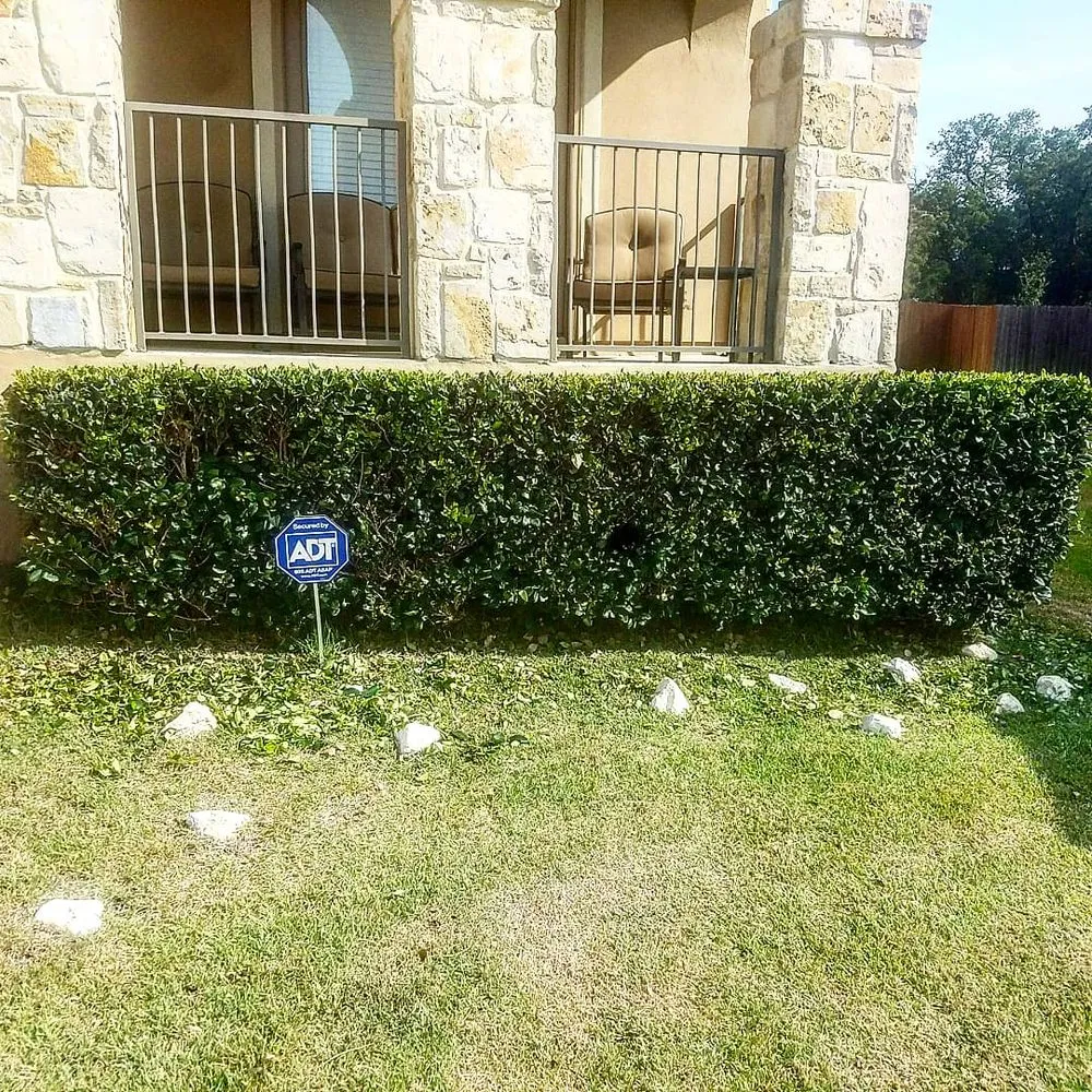 Affordable lawn mowing service in New Braunfels, TX by Kaiser Lawn Care