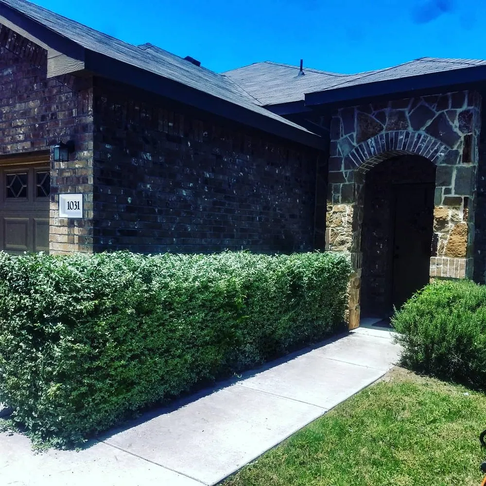 Expert yard maintenance in New Braunfels, TX by Kaiser Lawn Care
