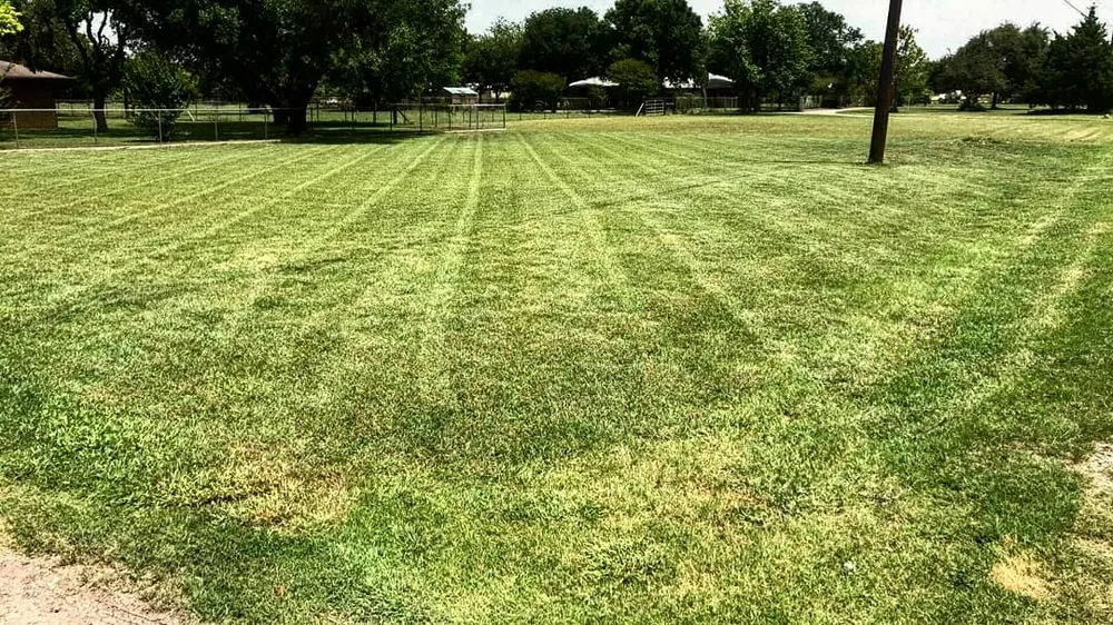 Reliable landscape installation in New Braunfels, TX by Kaiser Lawn Care