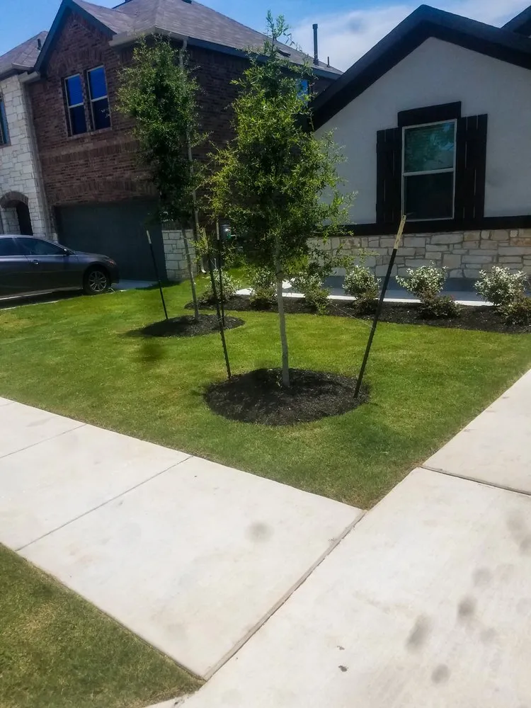 Top-rated landscape installation experts serving New Braunfels, TX - Kaiser Lawn Care