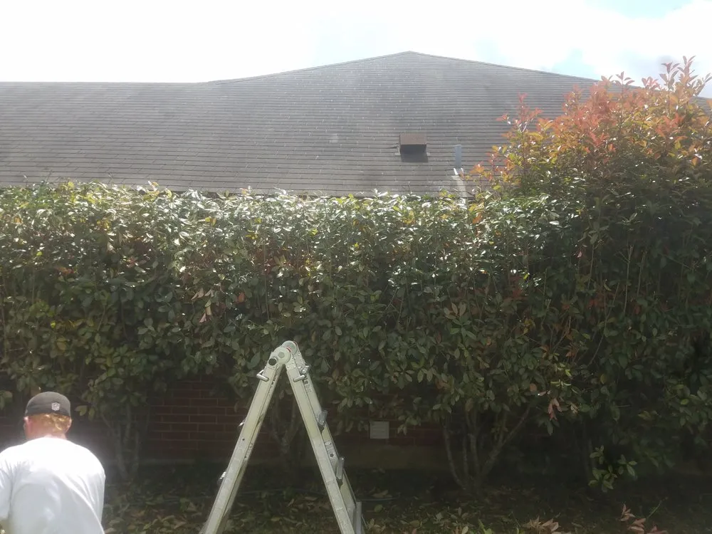 Expert yard cleanup service for homes across New Braunfels, TX - Kaiser Lawn Care