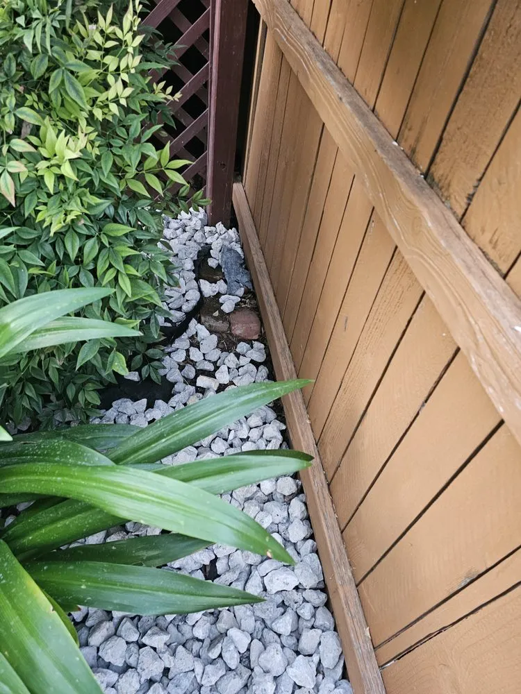 Reliable lawn care service in Pilot Point, TX by Kaistro and Co