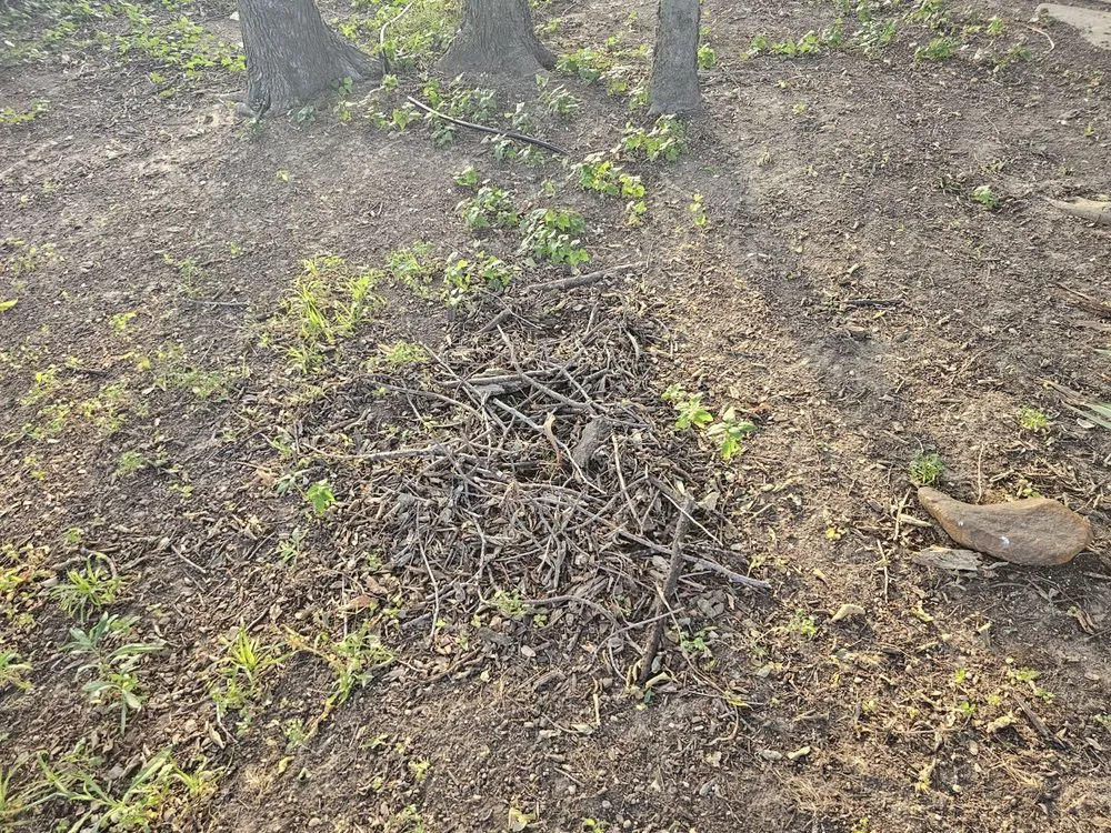 Expert landscaping services experts serving Pilot Point, TX - Kaistro and Co