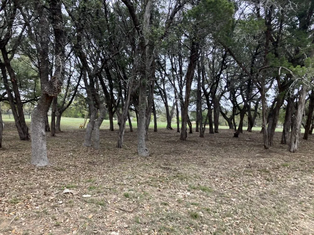 Top-rated lawn mowing service experts serving Burnet, TX - Kaius Irrigation and Construction