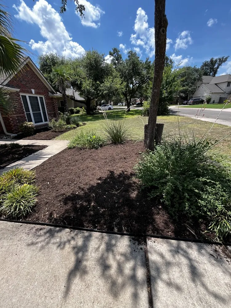 Top-rated garden landscaping in Austin, TX by Kaizen Gardens