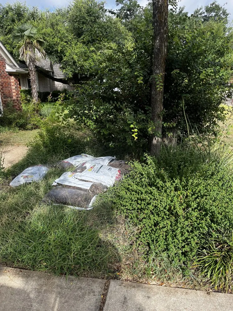 Professional landscape design experts serving Austin, TX - Kaizen Gardens