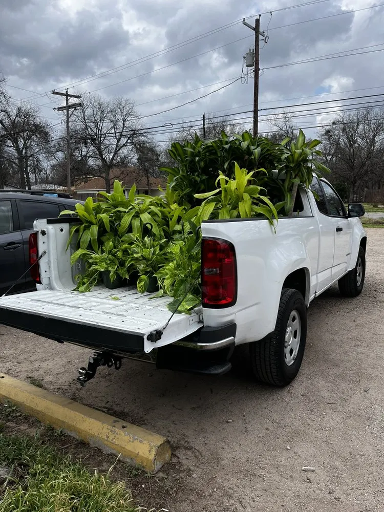 Affordable lawn mowing service for residential properties across Austin, TX - Kaizen Gardens