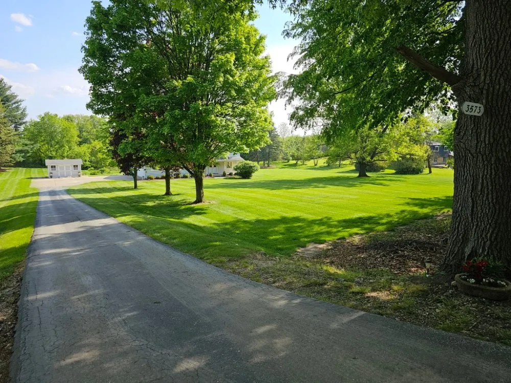 Reliable yard cleanup service in Leonard, MI - Kajawa Landscaping