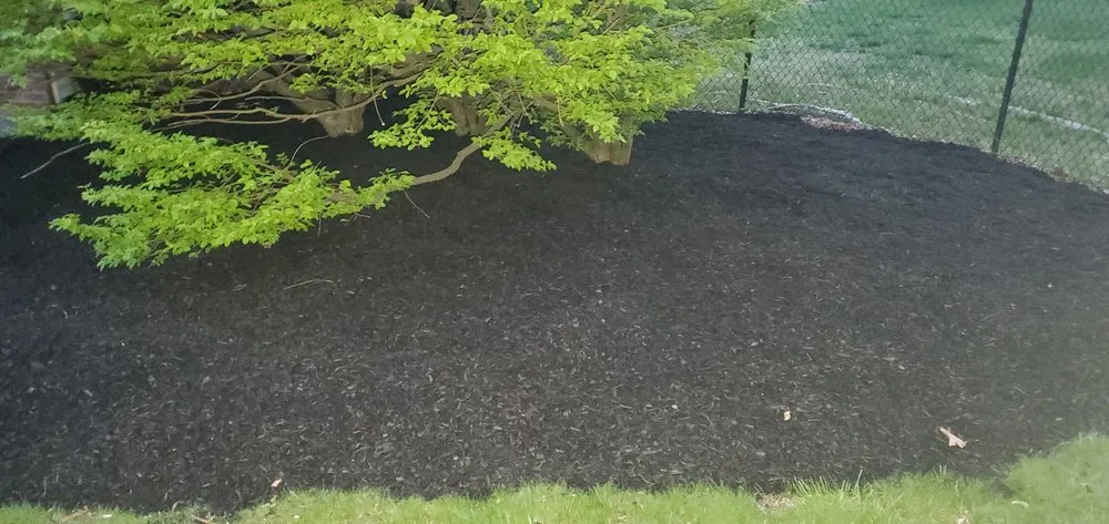 Expert yard maintenance experts serving Pearl River, NY - KAK Property Maintenance